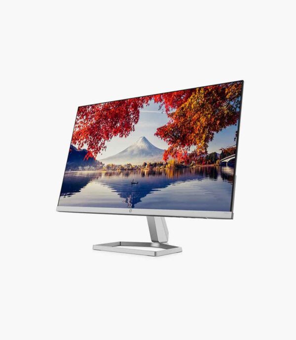 HP (23.8 Inch) with IPS Panel Technology